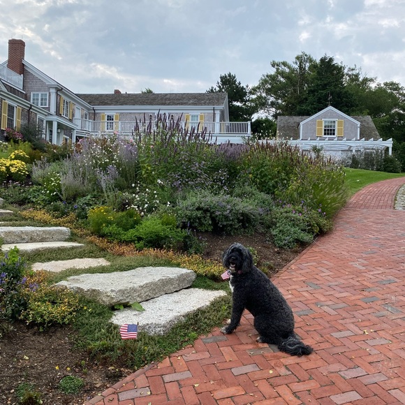 Meet your Posher, Vicki - Picture 2 of 4